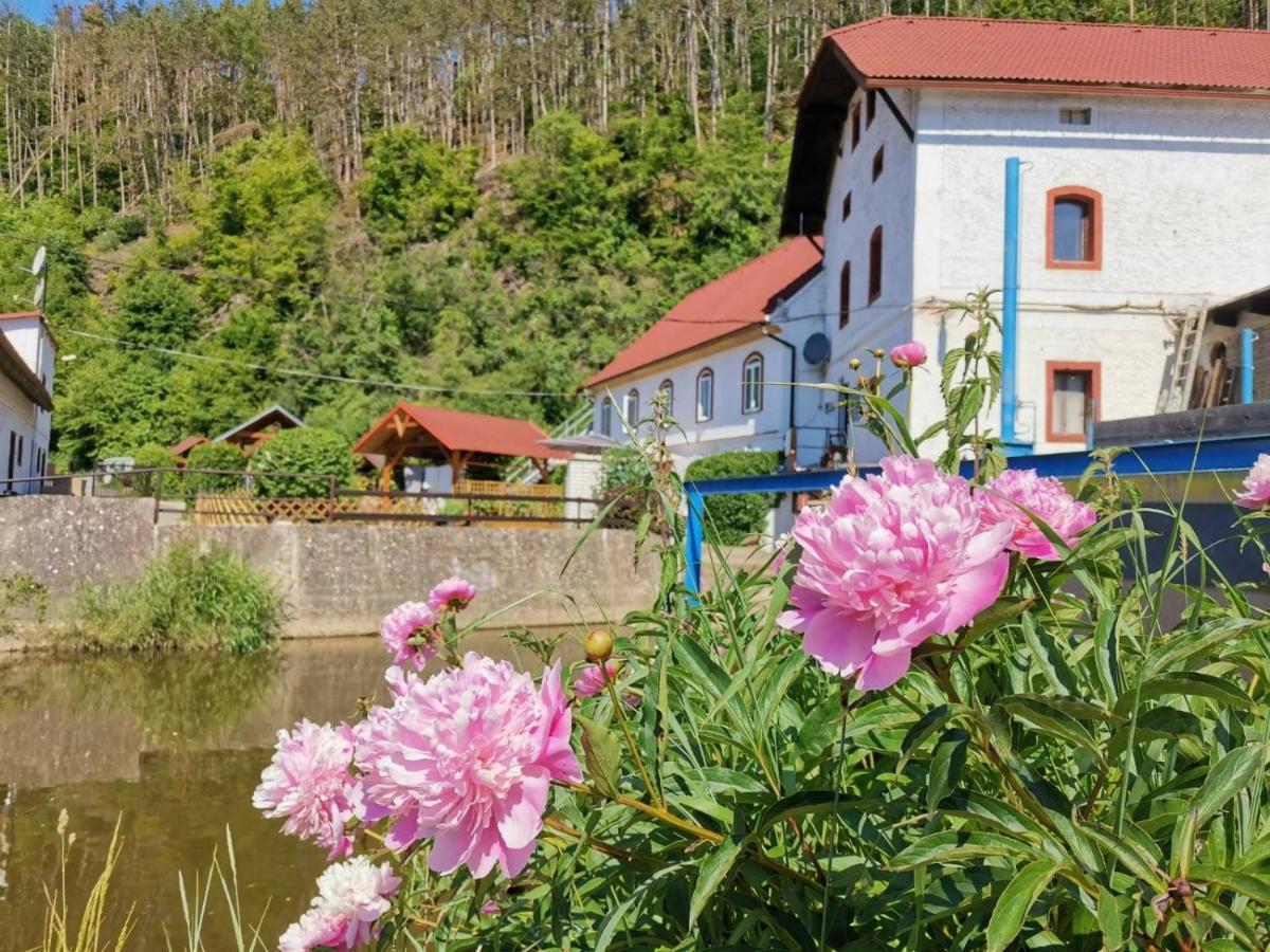 Cechuv Mlyn Daire Hrebecniky Dış mekan fotoğraf